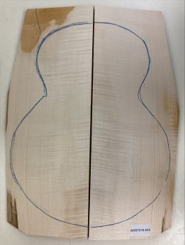 Preview: Boden & Zargen Ahorn, europ. Archtop Einzelstück #023